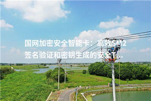 國網加密安全智能卡：支持SM1、SM2、SM3算法的高安全性TF卡